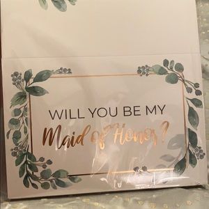 Bridesmaid proposal set
